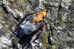 72m2013-04-20t19-06-01_1