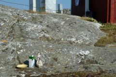 frukostdags-for-varden-69d3540f6e1e46864eac4f7a6e34800cda5bd25a