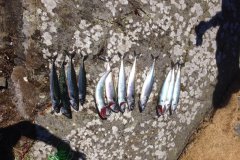 image-e70ed82dd6e20d4d417662671e50a52968a201c2