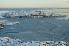 IMGP0527