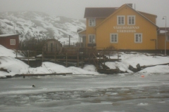 IMGP0548