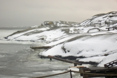 IMGP0563