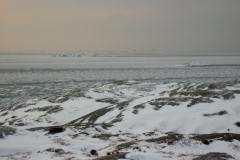 IMGP0617