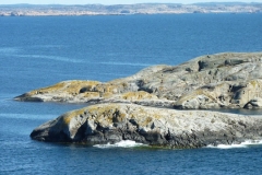 P1000682