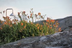 1_sam_4759-f5daf467ecfff3c749fbef268f25bd0911c734cc