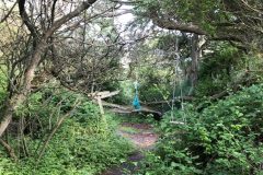 IMG_7792-1-e1584718116890