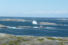 ap1040427_cr