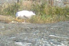 foto0841-d6f079d2bca76c0dcca41985a69a2dd2fe933d42