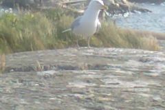 foto0842-b193fb0f60cf836e2069d8df74bf9e02619cd7cb