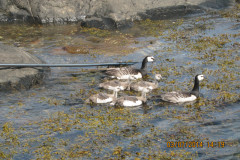 img_0425-1734d358a364654cf90e19426d7f5a97184d5230