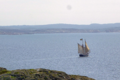 midsommarveckan-12
