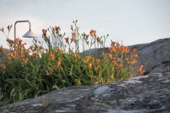 sam_4759-f5daf467ecfff3c749fbef268f25bd0911c734cc