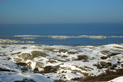 IMGP0519