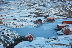 IMGP0530