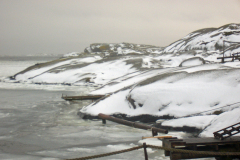 IMGP0563
