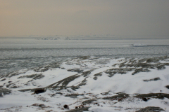IMGP0617