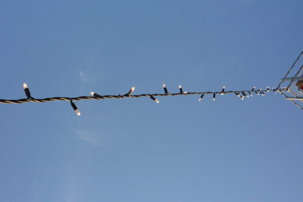 p1030208_2